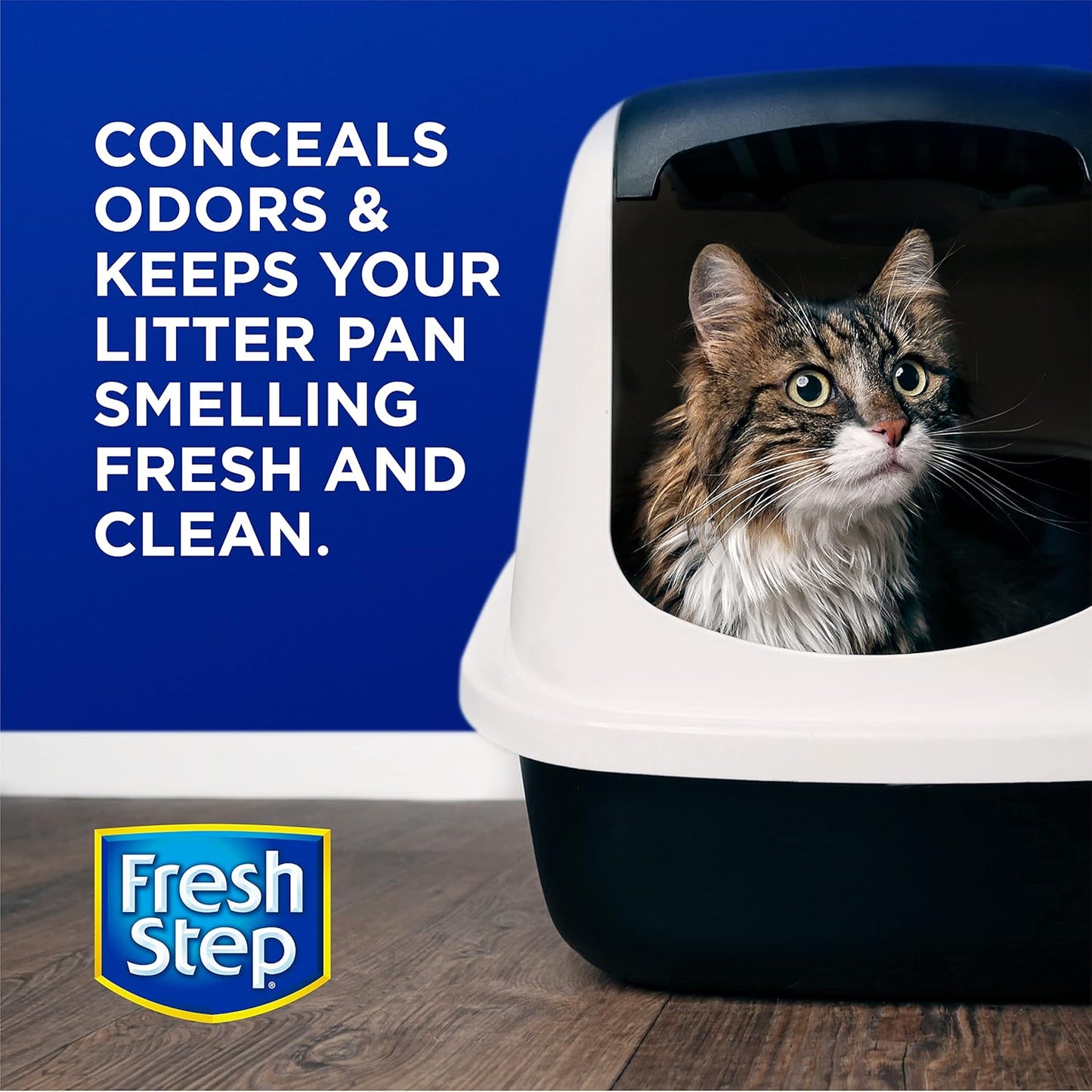 Fresh Step Cat Litter Crystals in Fresh Scent Cat Litter Box Deodorizer Combats Cat Odors and Neutralizes Smells to Keep Your Home Clean, 15 Ounces (Pack of 3) Y Pay More