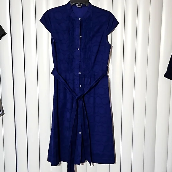 Ann Tayor Blue ShirtDress Size 6 Y Pay More