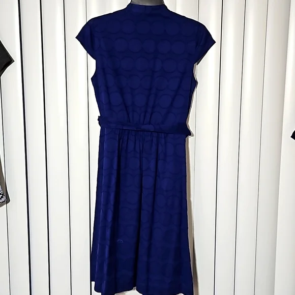 Ann Tayor Blue ShirtDress Size 6 Y Pay More